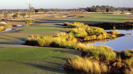 Golf course construction services in Venice, FL