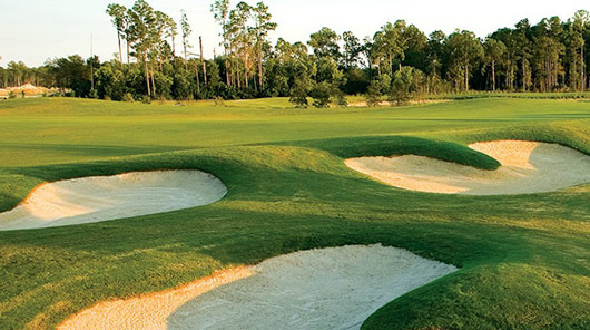 Golf course construction services in Fort Myers, FL