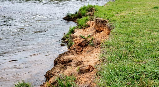 Lake bank survey and sediment measurement southwest Florida