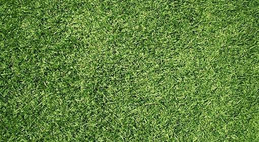 Synthetic turf services in southwest Florida